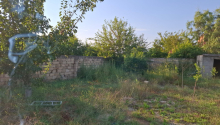25 sot Torpaq, Satış, Abşeron