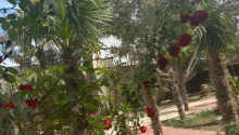 7 otaqlı Bağ evləri, Satış, Bakı, Xəzər, Koroğlu