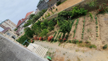 14 otaqlı Villa / Həyət evi, Satış, Abşeron
