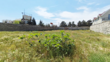 14 sot Torpaq, Satış, Bakı, Xəzər