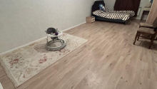 2 otaqlı Yeni tikili