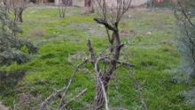 8 otaqlı Villa / Həyət evi, Satış, Bakı, Səbail