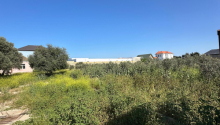 12 sot Torpaq, Satış, Bakı, Xəzər, Koroğlu