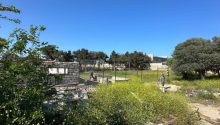 12 sot Torpaq, Satış, Bakı, Xəzər, Koroğlu