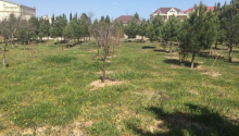 12 m2 Torpaq, Satış, Bakı, Xəzər