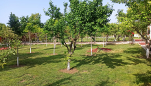 12 m2 Torpaq, Satış, Bakı, Xəzər