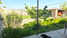 4 otaqlı Villa / Həyət evi, Satış, Bakı, Xəzər, Koroğlu