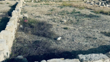 3 sot Torpaq, Satış, Bakı, Nəsimi