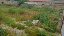 6 sot Torpaq, Satış, Bakı, Səbail
