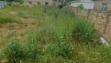 6 sot Torpaq, Satış, Bakı, Səbail