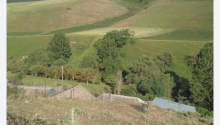 50 m2 Torpaq, Satış, Gədəbəy
