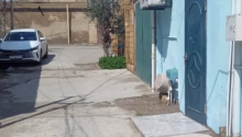 2 otaqlı Villa / Həyət evi, Satış, Bakı, Binəqədi, Azadlıq pros.