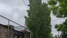 8 otaqlı Villa / Həyət evi