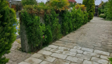 3 otaqlı Bağ evləri, Kirayə (gündəlik), Bakı, Xəzər, Ulduz