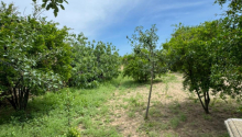 3 otaqlı Villa / Həyət evi, Satış, Bakı, Sabunçu