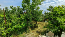 2 otaqlı Villa / Həyət evi, Satış, Bakı, Suraxanı, Əhmədli