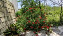 2 otaqlı Villa / Həyət evi, Satış, Bakı, Suraxanı, Əhmədli
