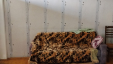 4 otaqlı Villa / Həyət evi, Satış, Gəncə