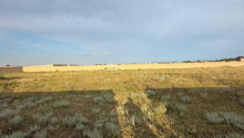 5000 m2 Torpaq