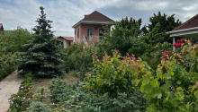 11 sot Torpaq, Satış, Bakı, Xəzər, Koroğlu