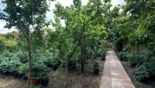 11 sot Torpaq, Satış, Bakı, Xəzər, Koroğlu