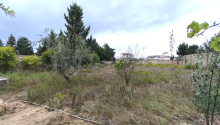 25 sot Torpaq, Satış, Bakı, Sabunçu