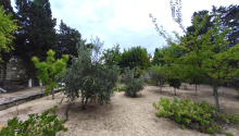 25 sot Torpaq, Satış, Bakı, Sabunçu