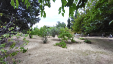 25 sot Torpaq, Satış, Bakı, Sabunçu