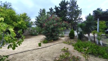 25 sot Torpaq, Satış, Bakı, Sabunçu