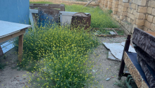 2 m2 Torpaq, Satış, Abşeron