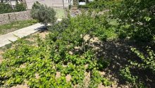 12 sot Torpaq, Satış, Bakı, Xəzər, Koroğlu