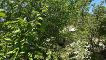 12 sot Torpaq, Satış, Bakı, Xəzər, Koroğlu