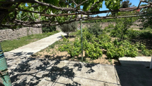 12 sot Torpaq, Satış, Bakı, Xəzər, Koroğlu