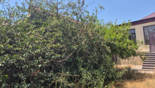 12 sot Torpaq, Satış, Bakı, Xəzər, Koroğlu