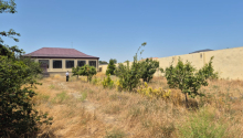 12 sot Torpaq, Satış, Bakı, Xəzər, Koroğlu