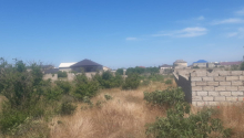 9 sot Torpaq, Satış, Bakı, Xəzər, Koroğlu