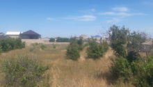 9 sot Torpaq, Satış, Bakı, Xəzər, Koroğlu