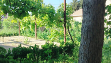 4 sot Torpaq, Satış, Bakı, Xəzər, Koroğlu