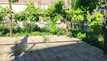 4 sot Torpaq, Satış, Bakı, Xəzər, Koroğlu