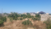 9 sot Torpaq, Satış, Bakı, Xəzər, Koroğlu