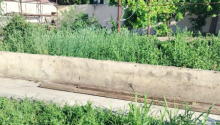 4 sot Torpaq, Satış, Bakı, Xəzər, Koroğlu