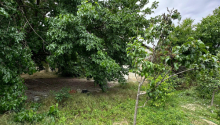 16 sot Torpaq, Satış, Bakı, Xəzər, Koroğlu