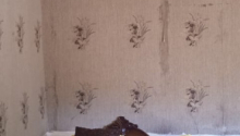 2 otaqlı Villa / Həyət evi, Kirayə (aylıq), Bakı, Səbail, İçəri şəhər