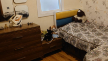 3 otaqlı Yeni tikili, Satış, Bakı, Nəsimi, Gənclik