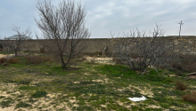 12 sot Torpaq, Satış, Bakı, Sabunçu, Koroğlu