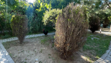 2 sot Torpaq, Satış, Bakı, Səbail, İçəri şəhər