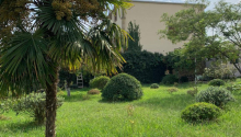 6 sot Torpaq, Satış, Bakı, Sabunçu