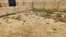 4 sot Torpaq, Satış, Abşeron