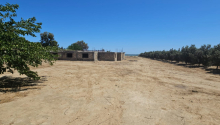 1 hektar Torpaq, Satış, Bakı, Xəzər