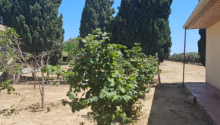 1 hektar Torpaq, Satış, Bakı, Xəzər